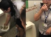 Bắt nhân viên ăn cơm trong bồn tiểu để chứng minh vệ sinh sạch