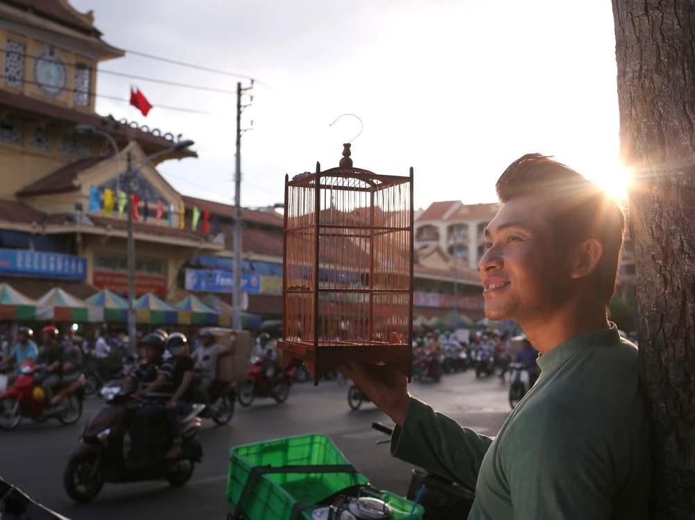 Album Da vàng của Trịnh lần đầu tiên phát hành trong nước sau 41 năm ảnh 2