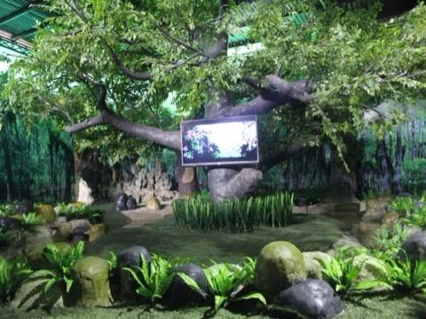 vườn quốc gia tại tp.hcm