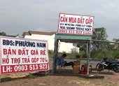Đà Nẵng: Vỡ mộng vì ôm đất kiếm lời