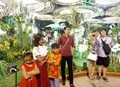 Rộn ràng đường hoa Nguyễn Huệ dịp xuân Kỷ Hợi