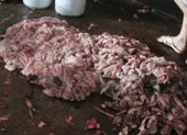 Phát hiện cơ sở nấu mỡ động vật bẩn, bốc mùi hôi thối
