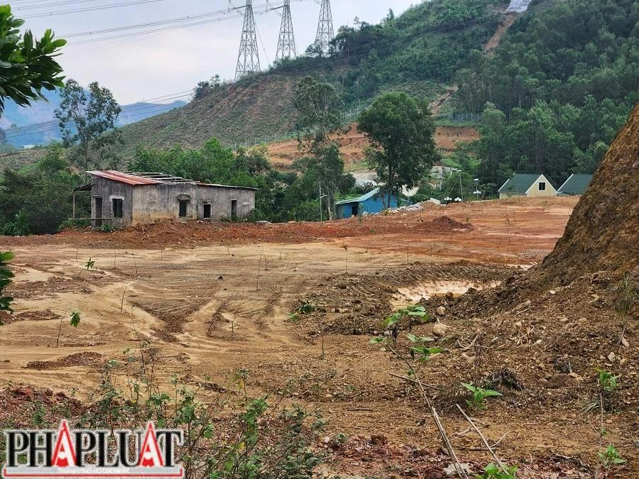 Khu vực diễn ra hoạt động múc đất "chui" được trồng một số cây nhỏ. Ảnh: TẤN VIỆT