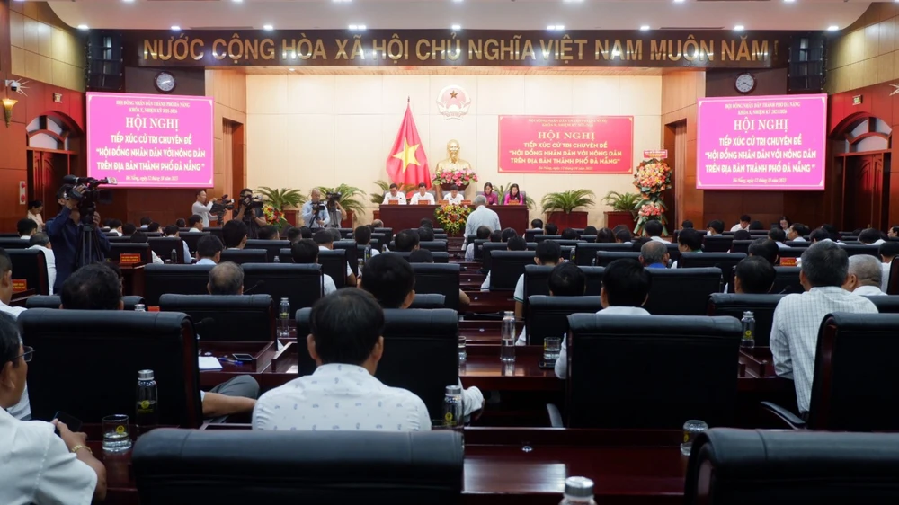 nông dân đà nẵng đấu giá cử tri