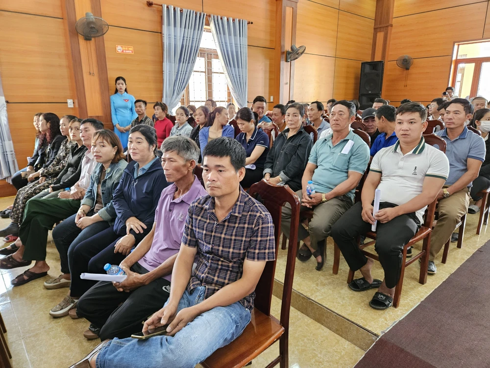 ngư dân đèn trên biển quảng bình pháp luật tphcm