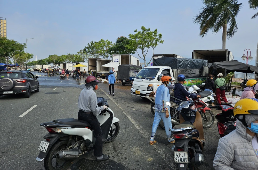 đà nẵng hoa tết