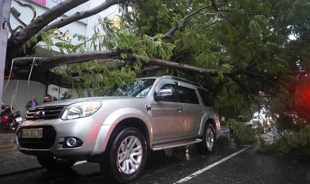 bão trà mi đà nẵng