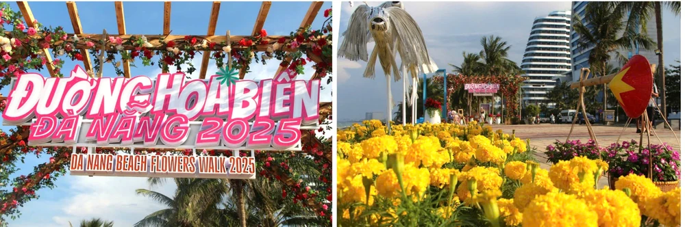 duong-hoa-bien-da-nang-1.JPG