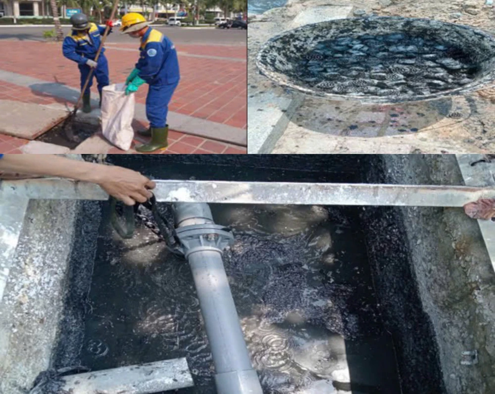 ven biển đà nẵng