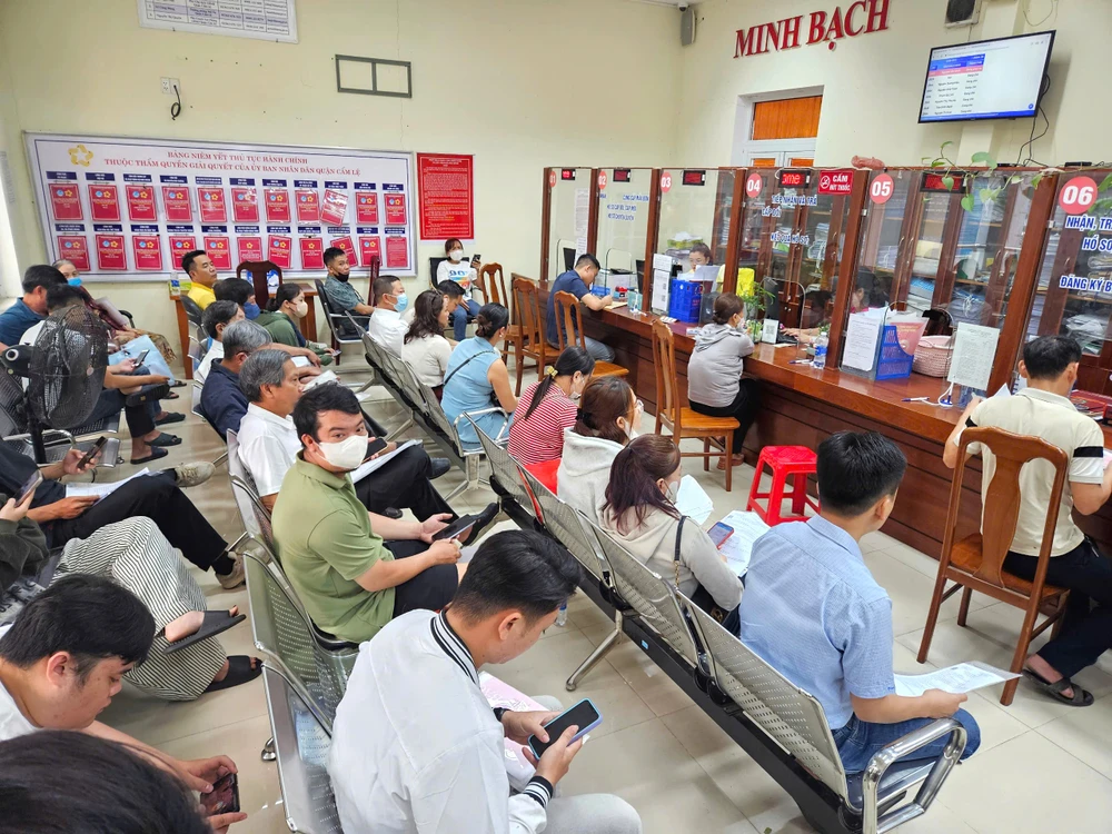 đường dây nóng