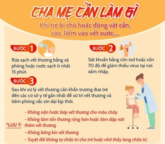 bé bị chó nhà cắn