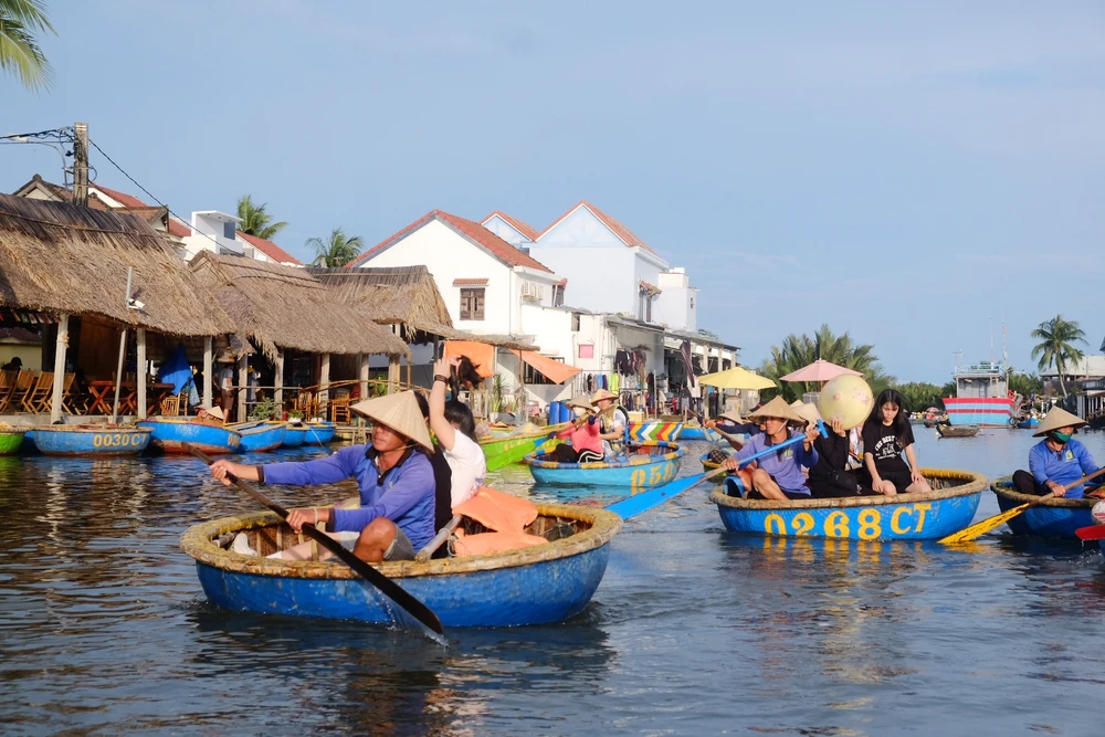 rừng dừa bảy mẫu