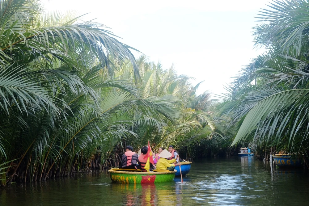 rừng dừa bảy mẫu