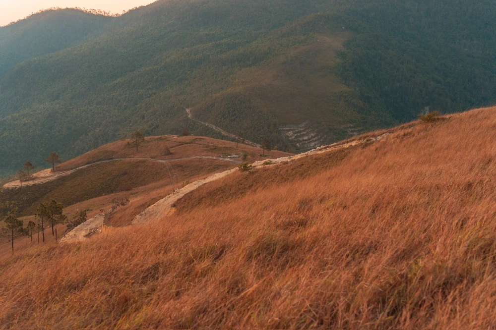 Mùa cỏ cháy bắt đầu từ tháng 10 đến tháng 1 hàng năm. Đây là thời điểm lý tưởng để du khách đến thăm đỉnh Phượng Hoàng. Lúc này, những đồi cỏ chuyển sang màu vàng nâu, thích hợp để chụp những bức ảnh như trong những thước phim Hàn Quốc với khung cảnh hùng vĩ và hoang sơ.