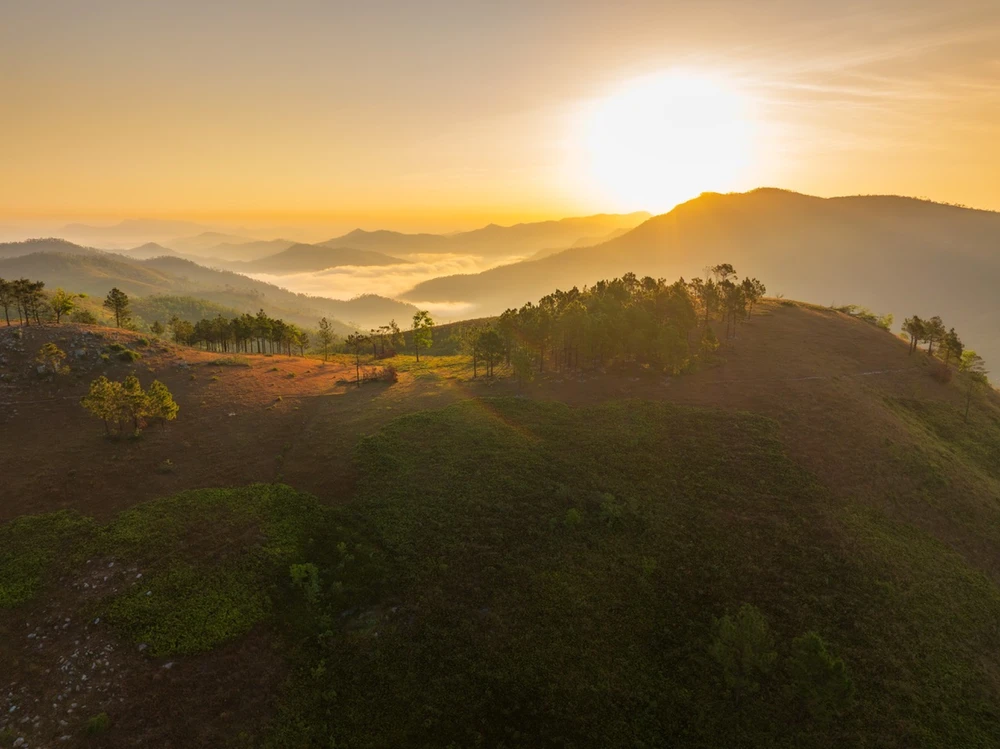 Đầu tháng 12 năm nay, trên đỉnh Phượng Hoàng vẫn còn một vài đồi cỏ xanh mướt. Khi đứng trên đỉnh núi, du khách có thể nhìn thấy những đồi núi trập trùng, những hàng thông xanh ngát giữa thiên nhiên bao la.