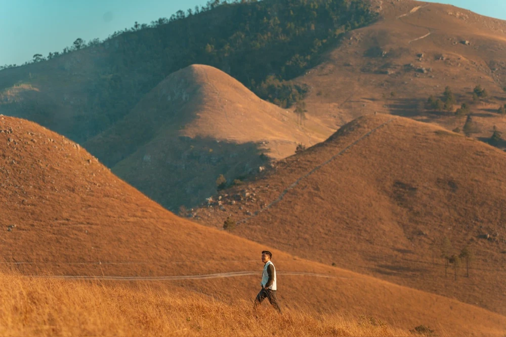 đỉnh phượng hoàng