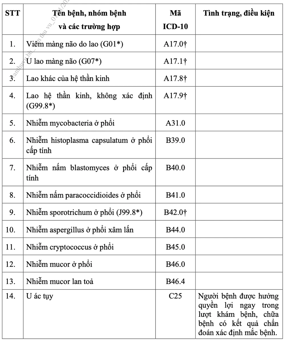 giấy chuyển tuyến