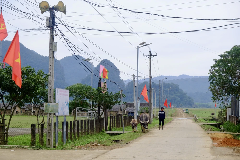 Còn ông Đinh Văn Thắng (67 tuổi) cho hay: "Dù thế nào thì tôi vẫn thích ở đây, quê cha mẹ mà, đi đâu thì đi nhưng vẫn phải về nhà, nhất là trong những ngày cuối năm như thế này".