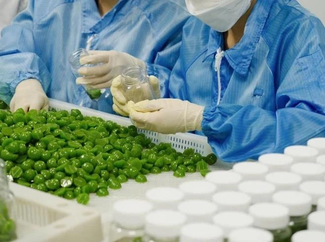 viên kẹo rau củ