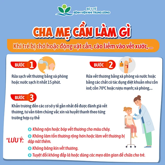 bị chó cắn