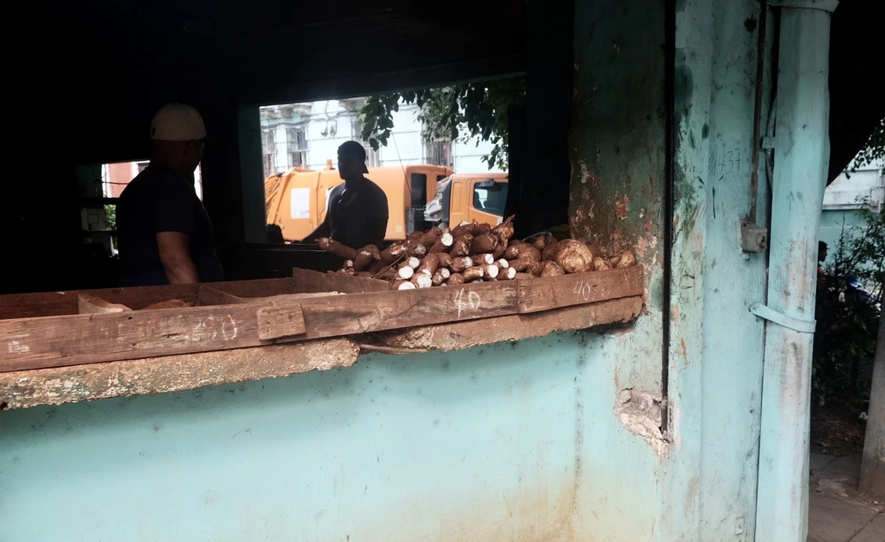 698D741F-550D-4BFB-A868-C14A6A3E8238-10698-00000157DAA2FC8C 2.jpg