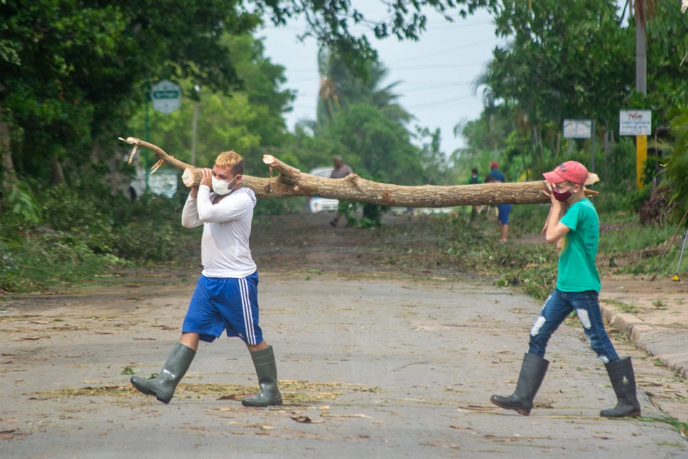 ng dân khiêng cây.JPG