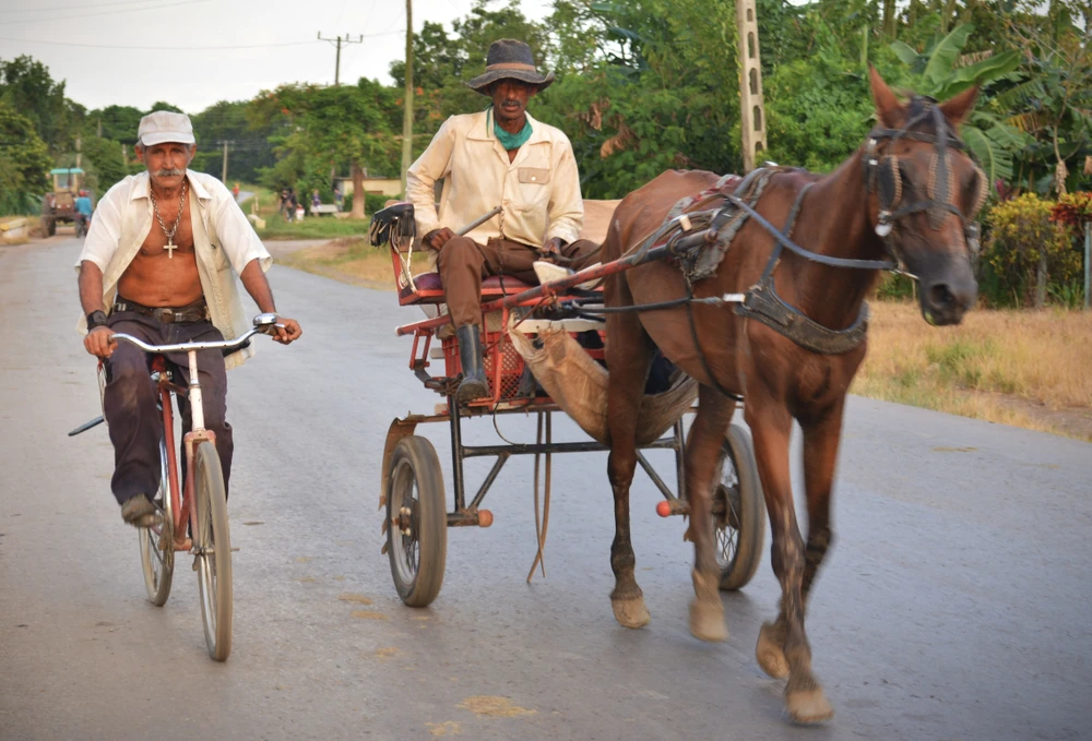 xe bò, xe đạp ở hab.jpg