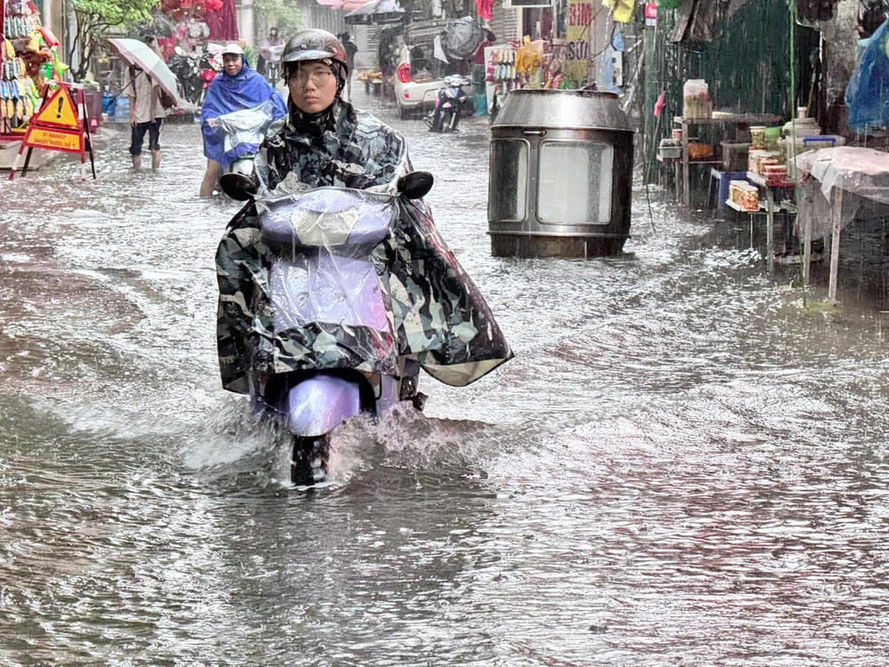 TRƯỜNG ĐẠI HỌC