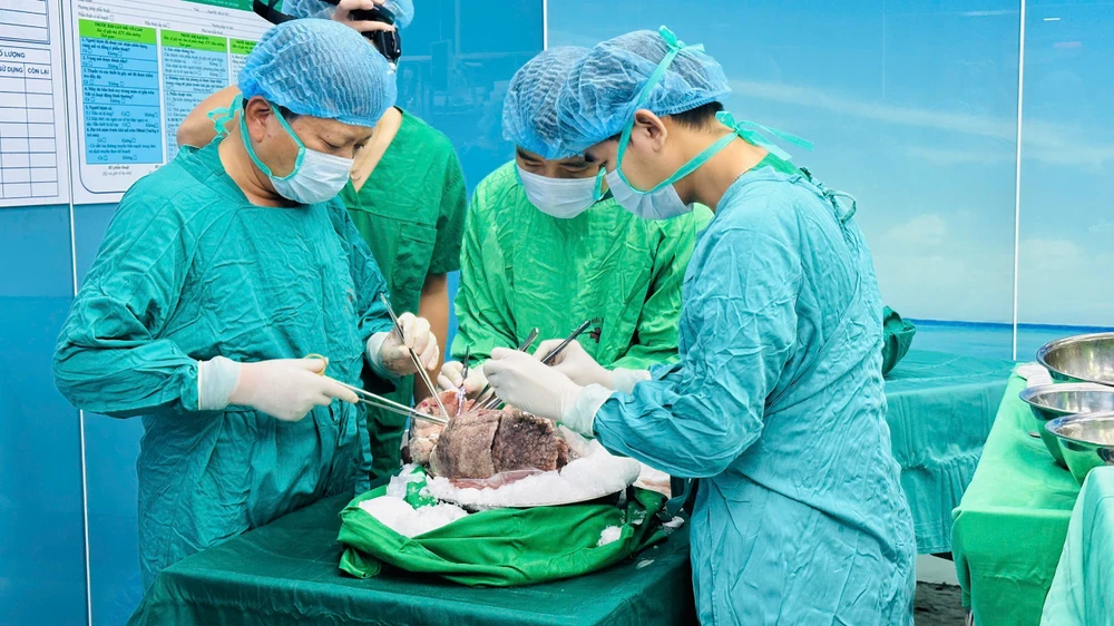 ghép phổi.jpg