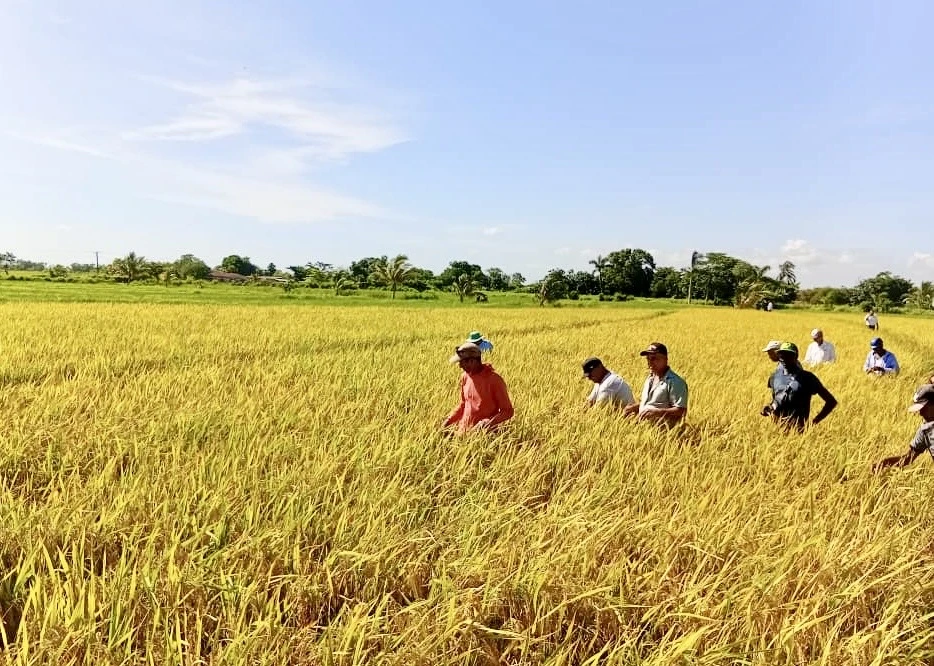 việt nam - cuba 0.jpg