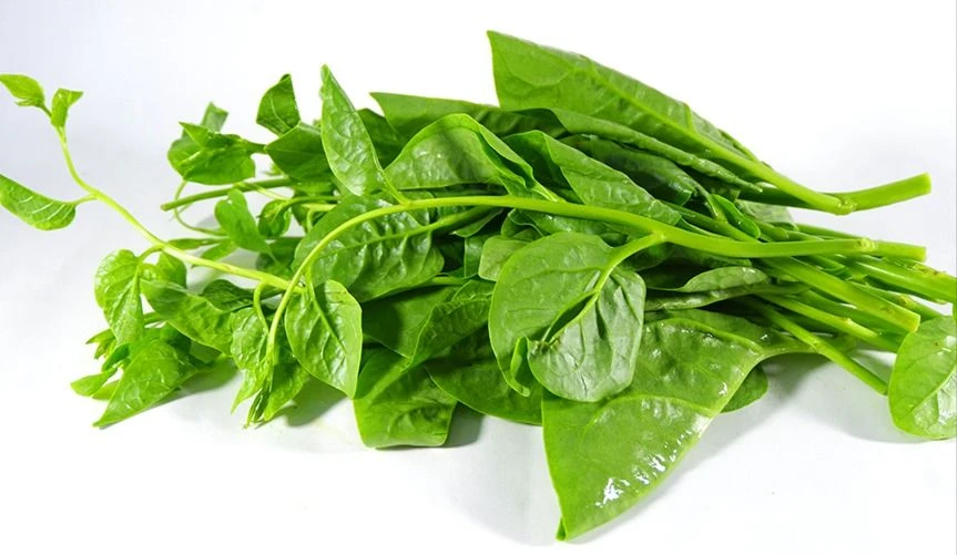 rau mồng tơi.jpg