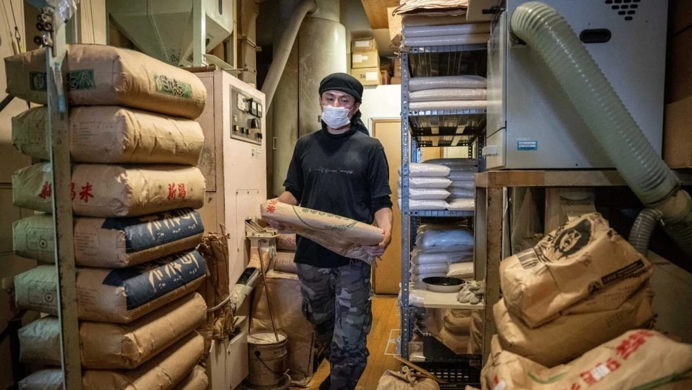 giá gạo tăng cao