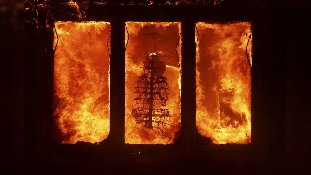 cháy rừng ở Los Angeles.jpg