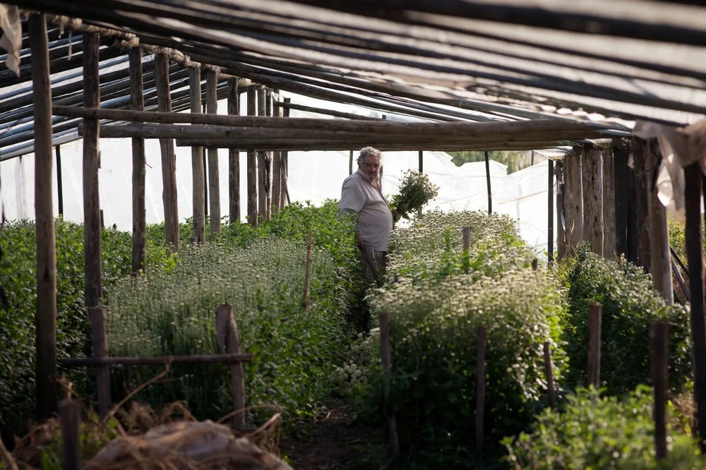 ‘Tổng thống nghèo nhất thế giới’ qua đời, hưởng thọ 89 tuổi.jpg