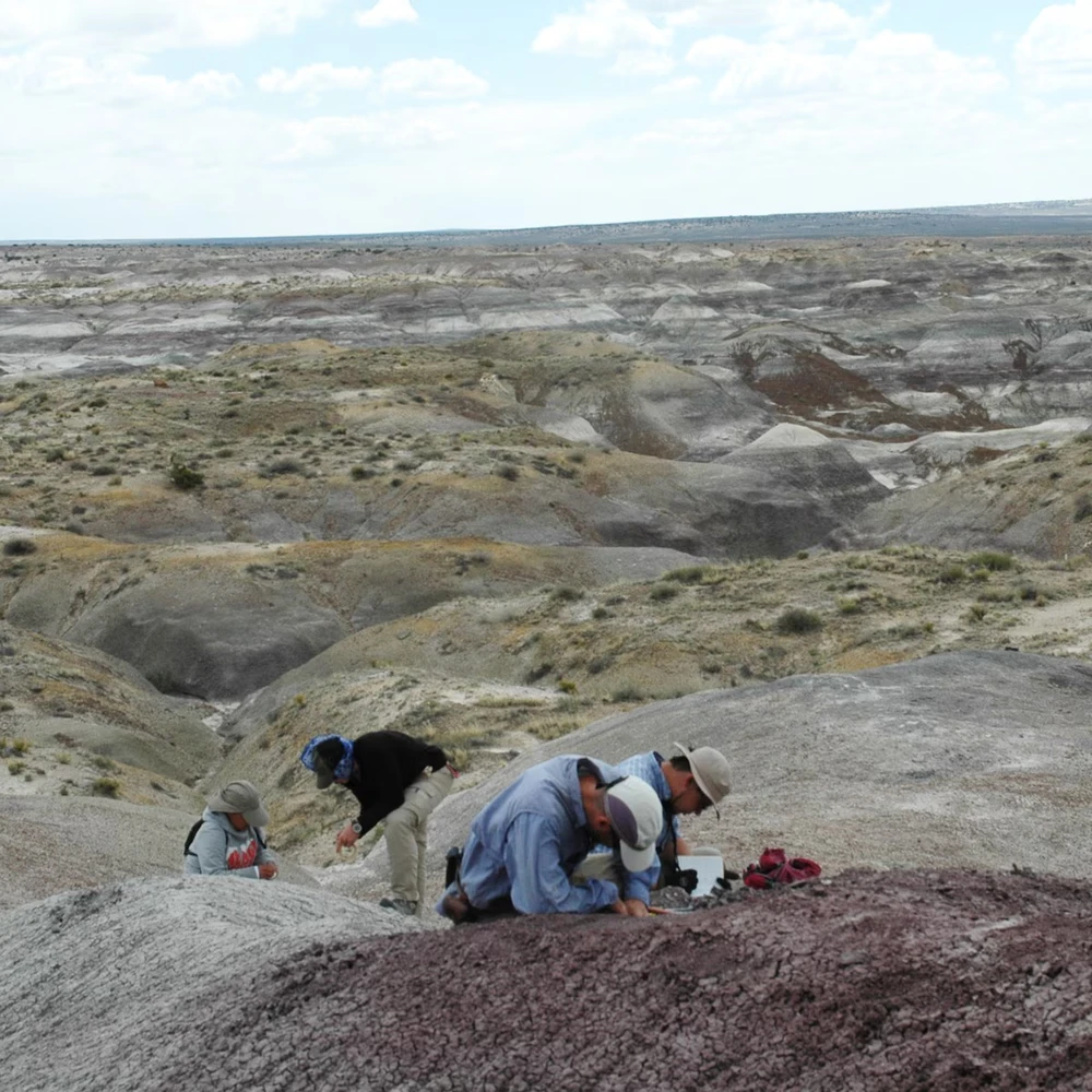 loài khủng long tuyệt chủng.jpg