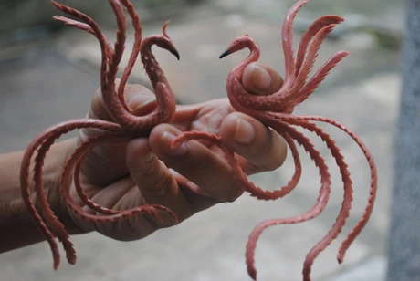 Hình khắc đôi phượng được khắc và uốn từ bút chì.