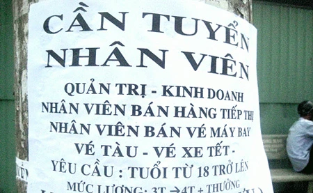 Bảng tin&nbsp;với&nbsp;rất nhiều&nbsp;giấy tuyển việc làm cận Tết
