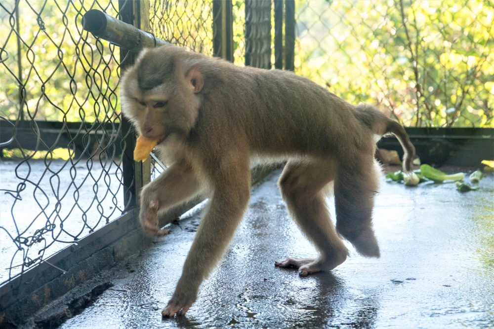 Trung tâm Cứu hộ, bảo tồn và phát triển sinh vật Vườn Quốc gia Bù Gia Mập