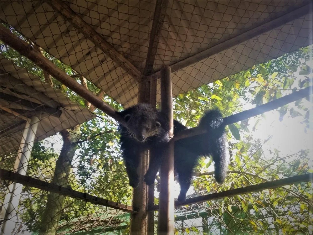 Trung tâm Cứu hộ, bảo tồn và phát triển sinh vật Vườn Quốc gia Bù Gia Mập