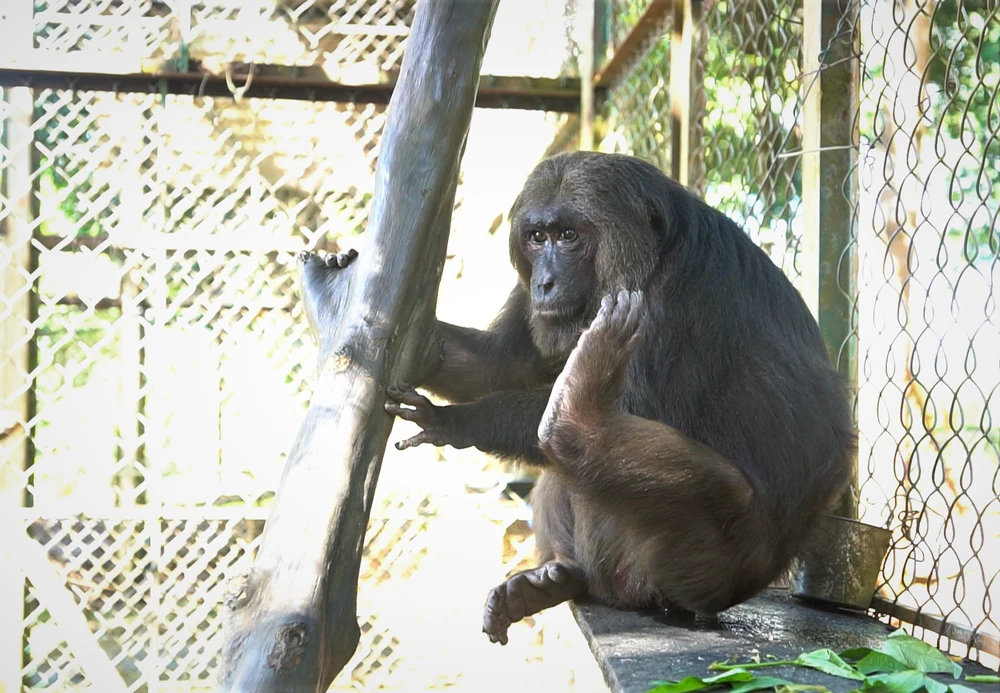 Trung tâm Cứu hộ, bảo tồn và phát triển sinh vật Vườn Quốc gia Bù Gia Mập