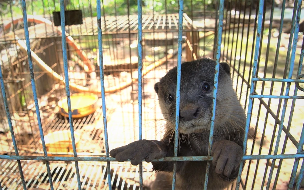 Trung tâm Cứu hộ, bảo tồn và phát triển sinh vật Vườn Quốc gia Bù Gia Mập