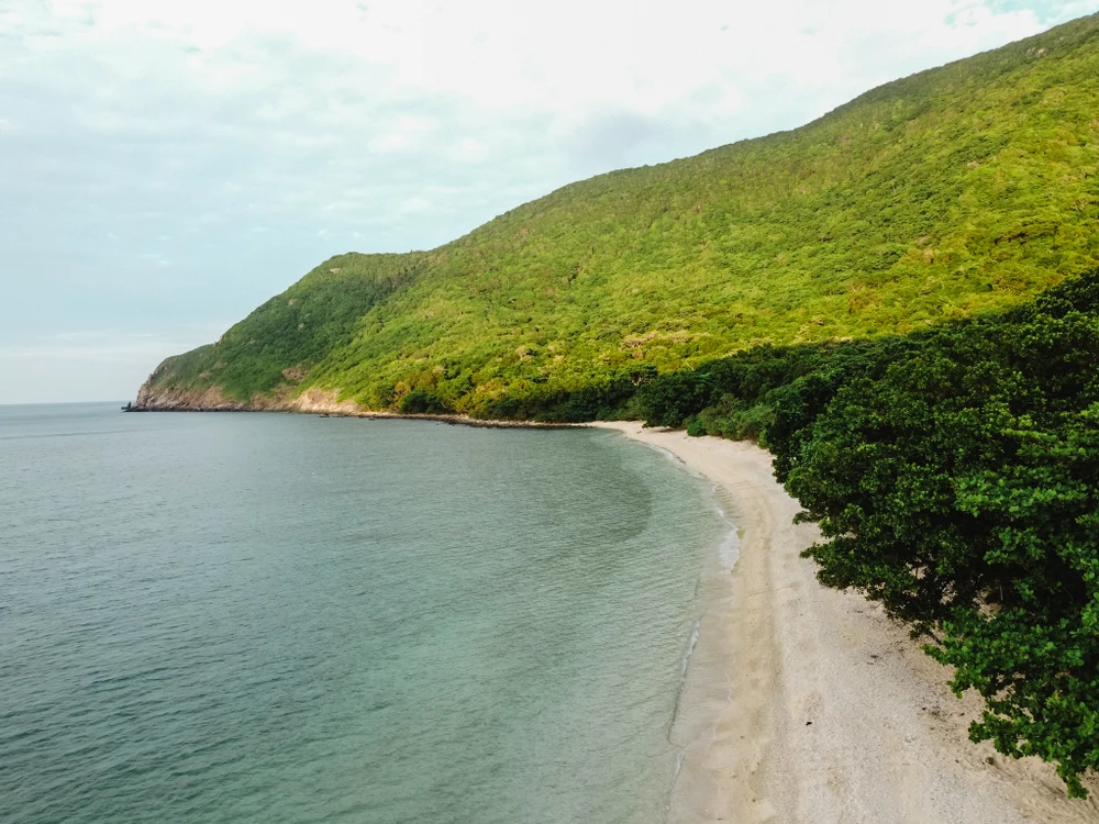 Bãi biển trên hòn Bảy Cạnh, một trong những nơi tập trung nhiều rùa biển đẻ trứng nhất Côn Đảo. Vào mùa cao điểm rùa sinh sản từ tháng 4 đến tháng 10, mỗi đêm có từ 10 đến 20 rùa mẹ lên làm tổ, đẻ trứng. Ảnh: NGUYÊN PHÁT