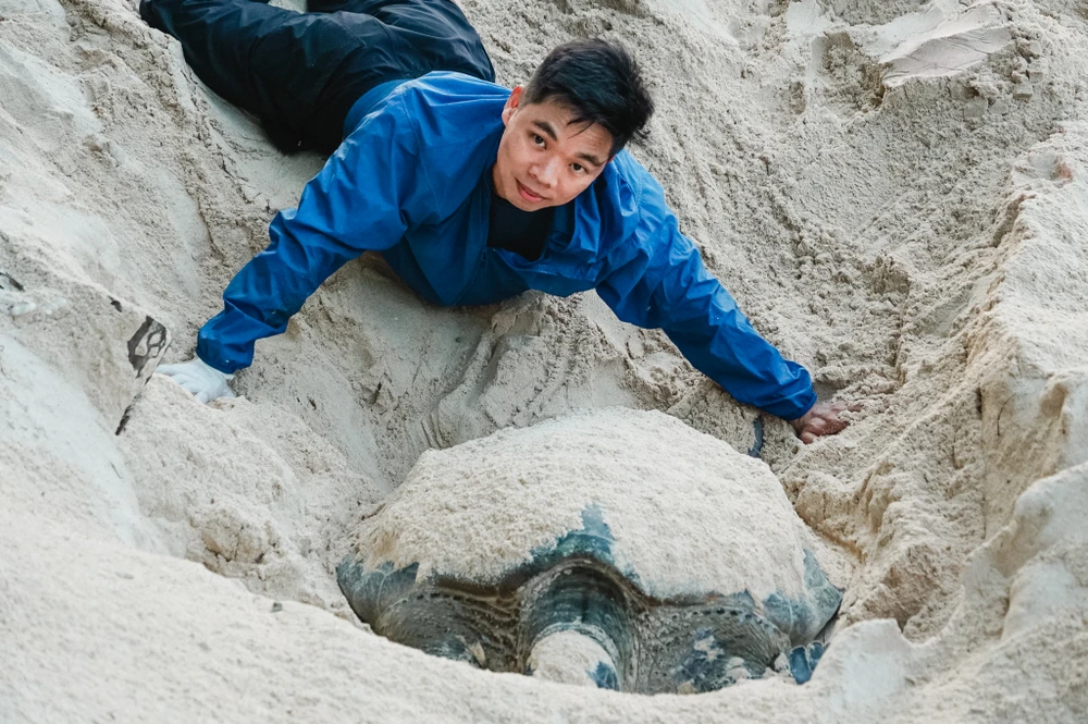 Lúc này, tôi đang theo dõi rùa mẹ đẻ trứng để lấy trứng trực tiếp.