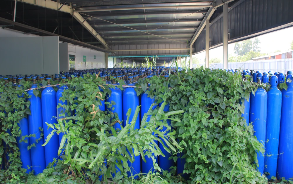 benh vien da chien 1.JPG