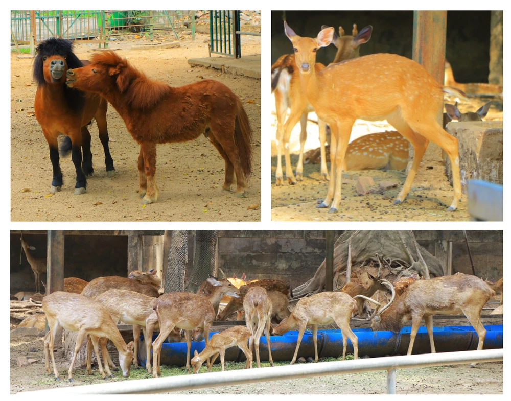 thao cam vien 59.png