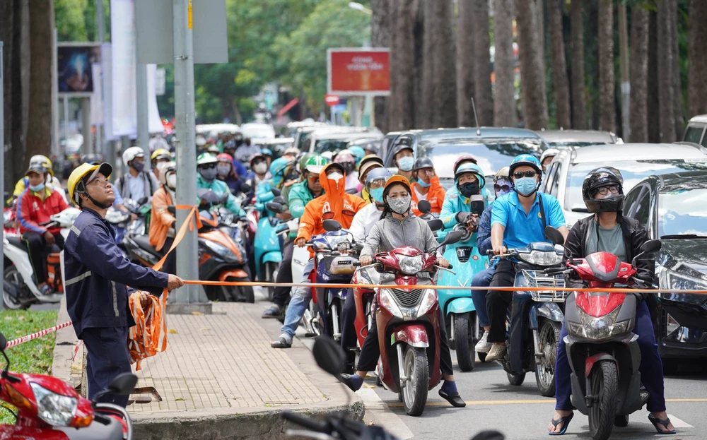 cay-xanh-lau-nam (1).jpg