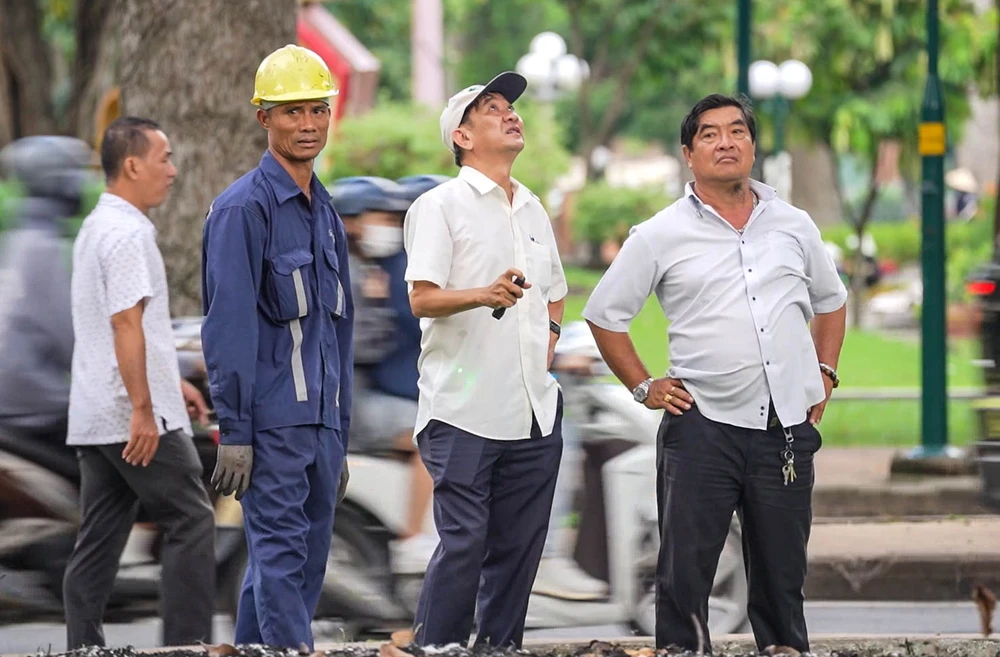 cay-xanh-lau-nam (15).jpg