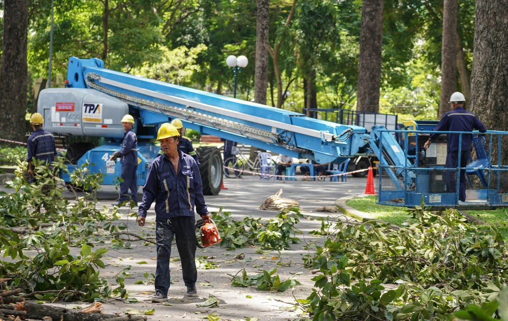 cay-xanh-lau-nam (3).jpg