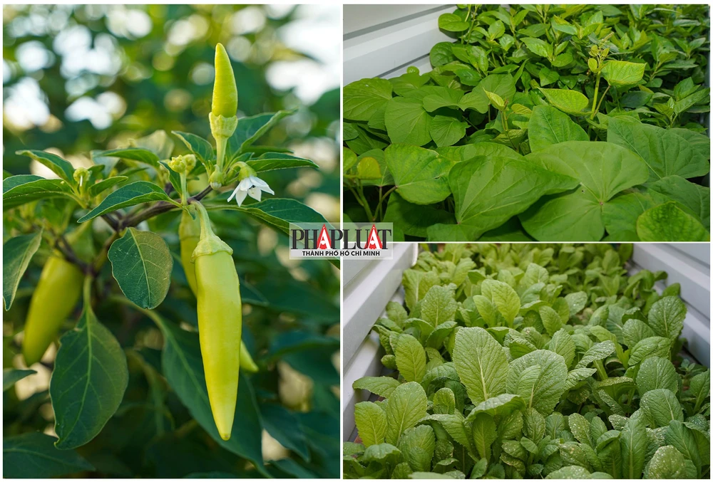 Cán bộ, chiến sĩ Nhà giàn DK1/10 vững tay súng, chắc chân sóng bảo vệ chủ quyền biển đảo của Tổ quốc