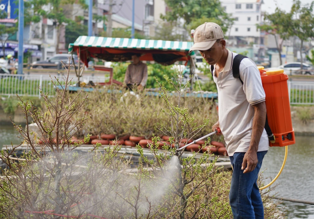 Tren-ben-duoi-thuyen (15).JPG